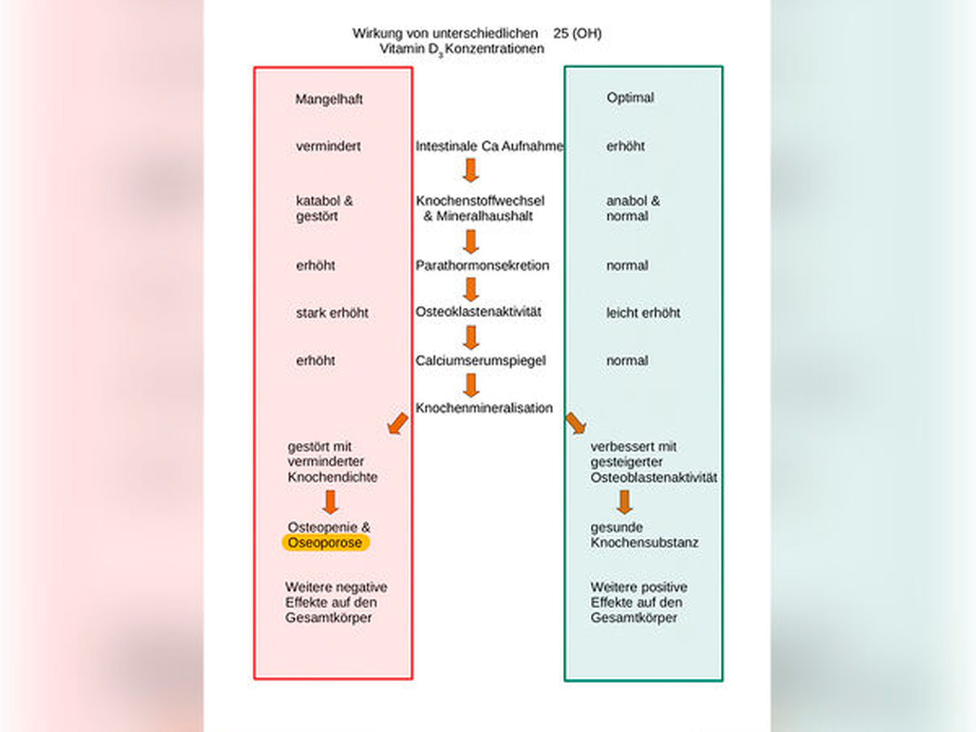 Ärzte Raten Orthodoc Vitamin D Ihr Schlüssel Zu Besserer Laune Und Mehr Lebensfreude - 6nge6fu