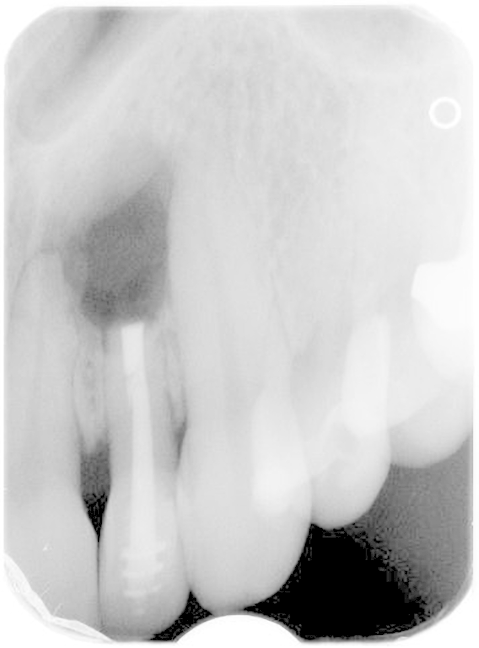 36957-flexible-1900.jpg 36957-flexible-1900.jpg