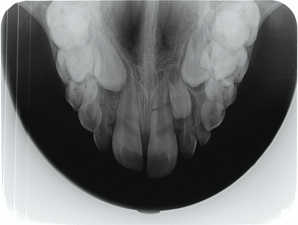 179923-flexible-1900.jpg 179923-flexible-1900.jpg