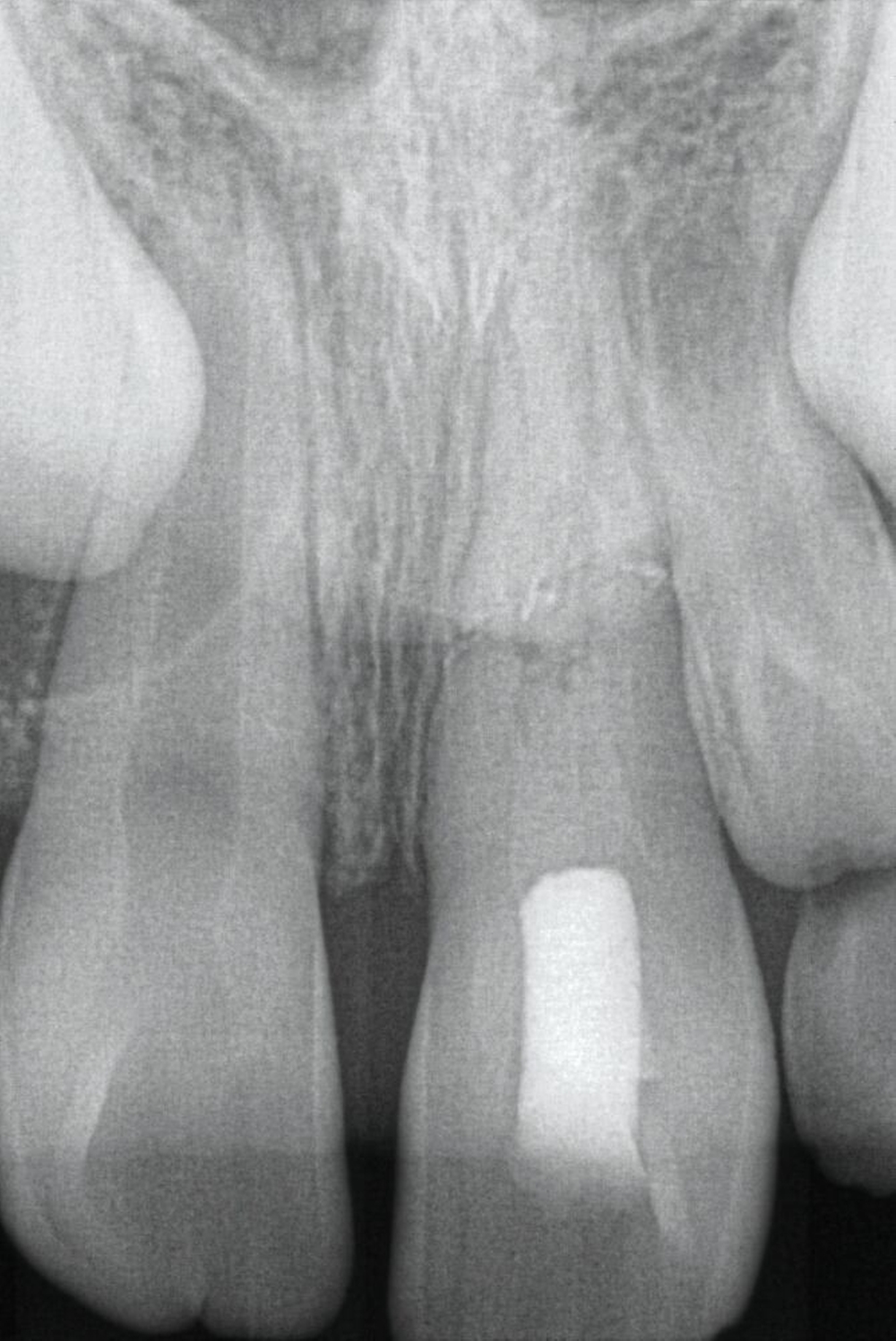 179936-flexible-1900.jpg 179936-flexible-1900.jpg