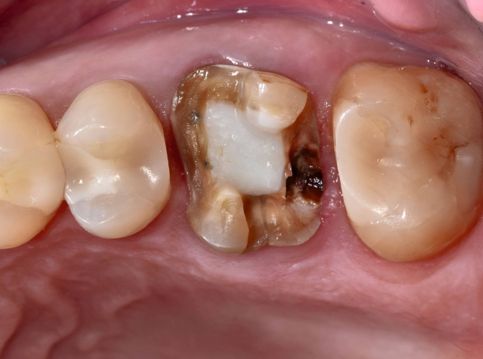 498437-flexible-1900.jpg 498437-flexible-1900.jpg