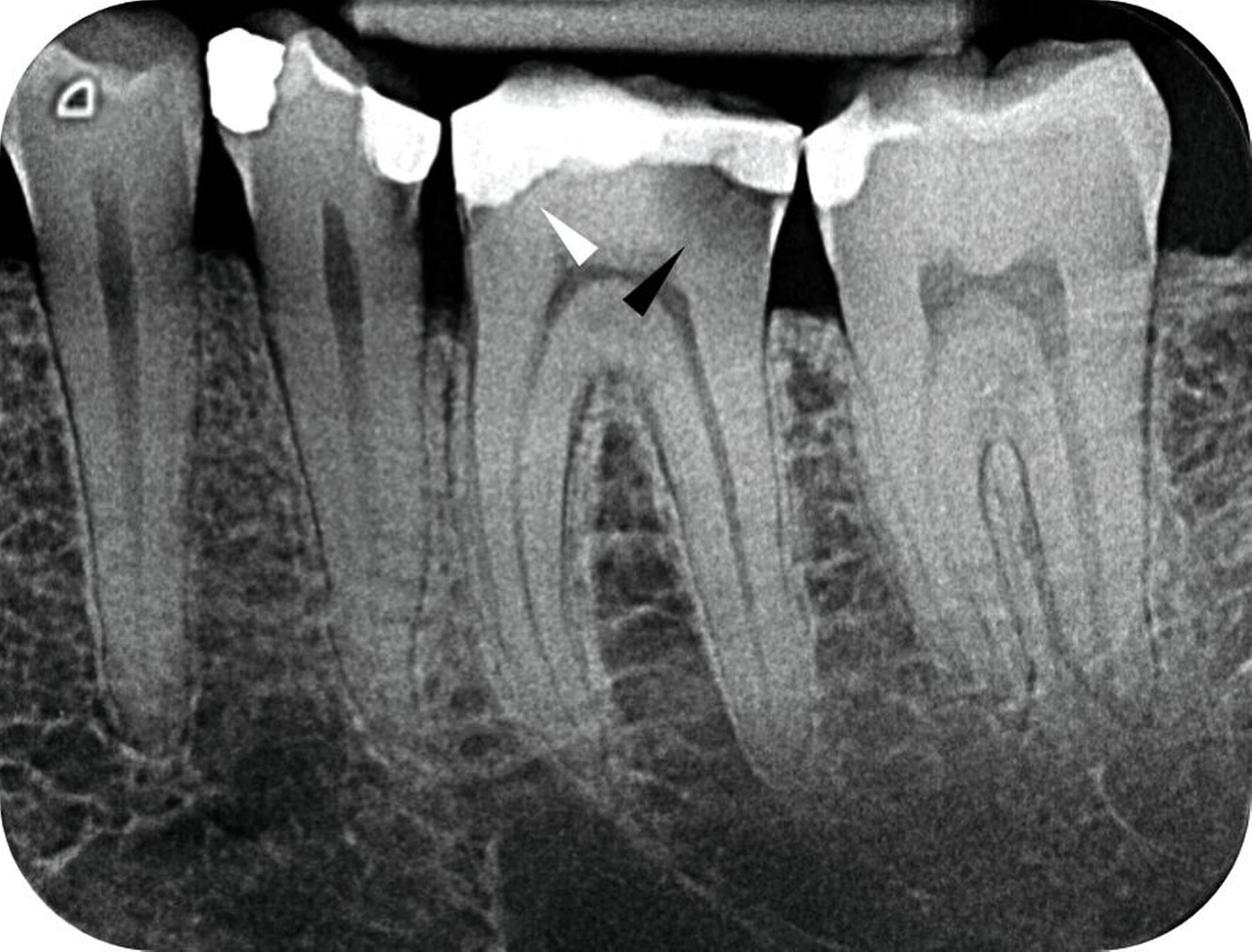 563836-flexible-1900.jpg 563836-flexible-1900.jpg