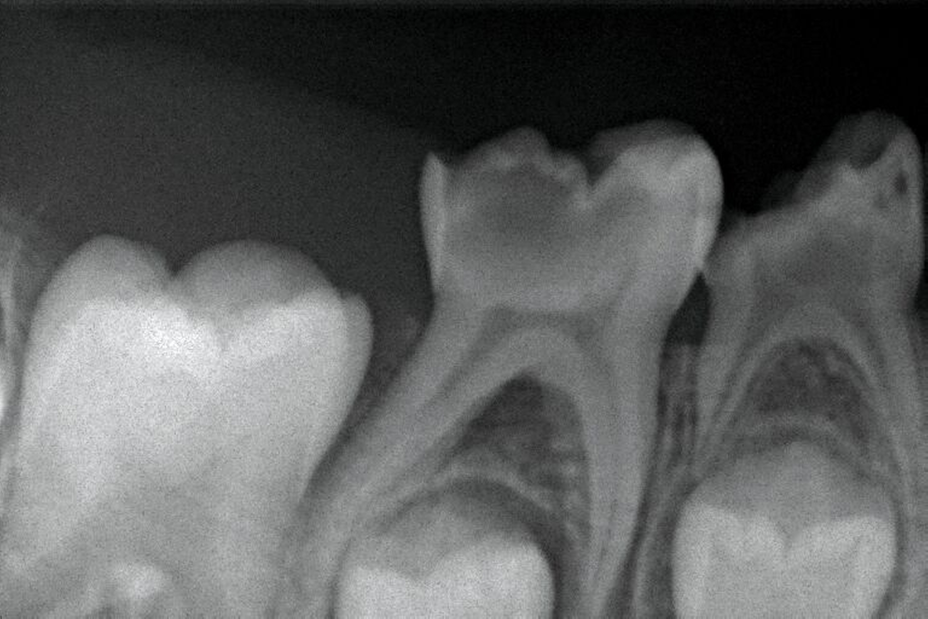 565040-flexible-1900.jpg 565040-flexible-1900.jpg