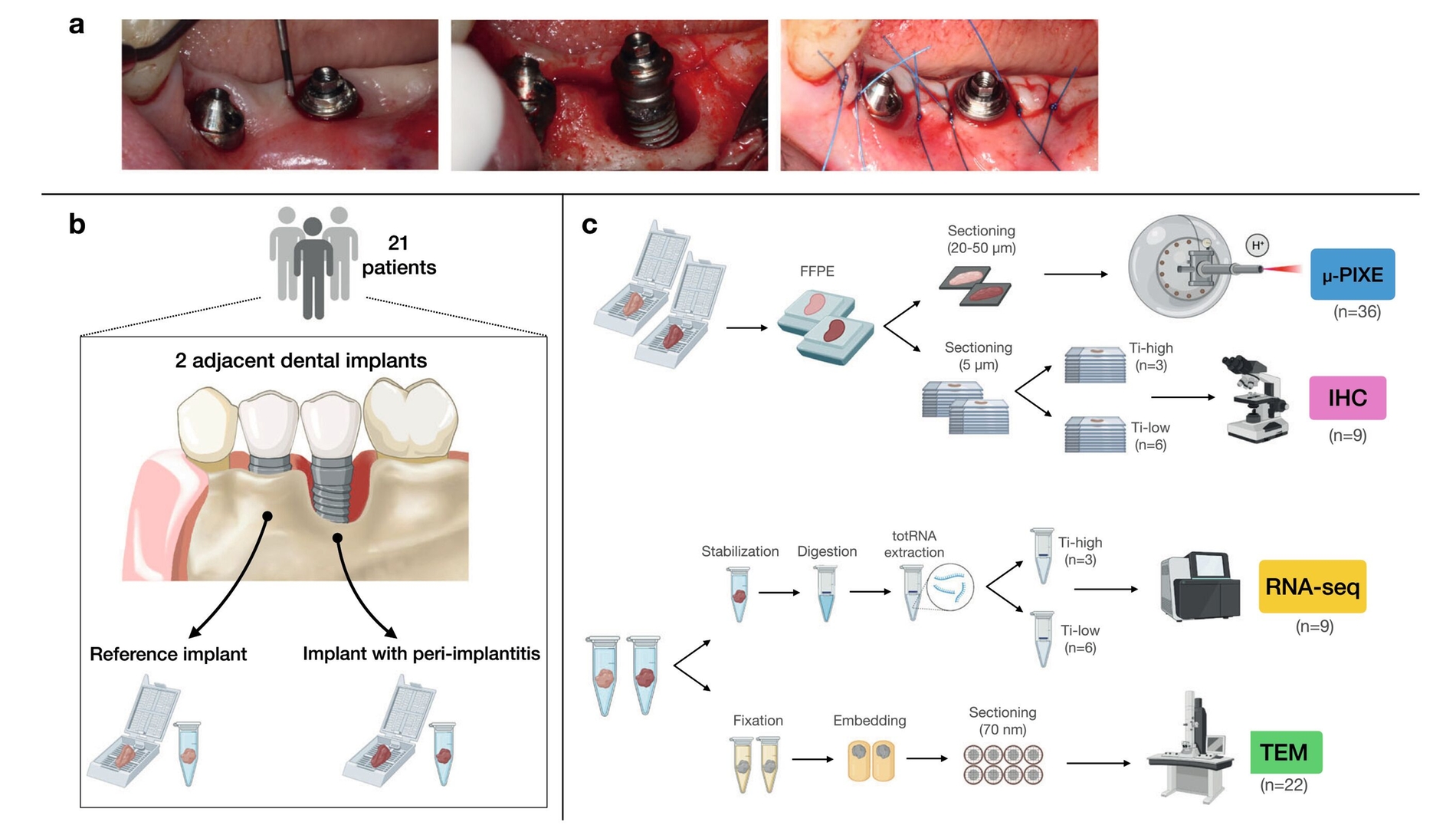 566228-flexible-1900.jpg Communications Medicine, doi:10.1038/s43856-025-00756-3