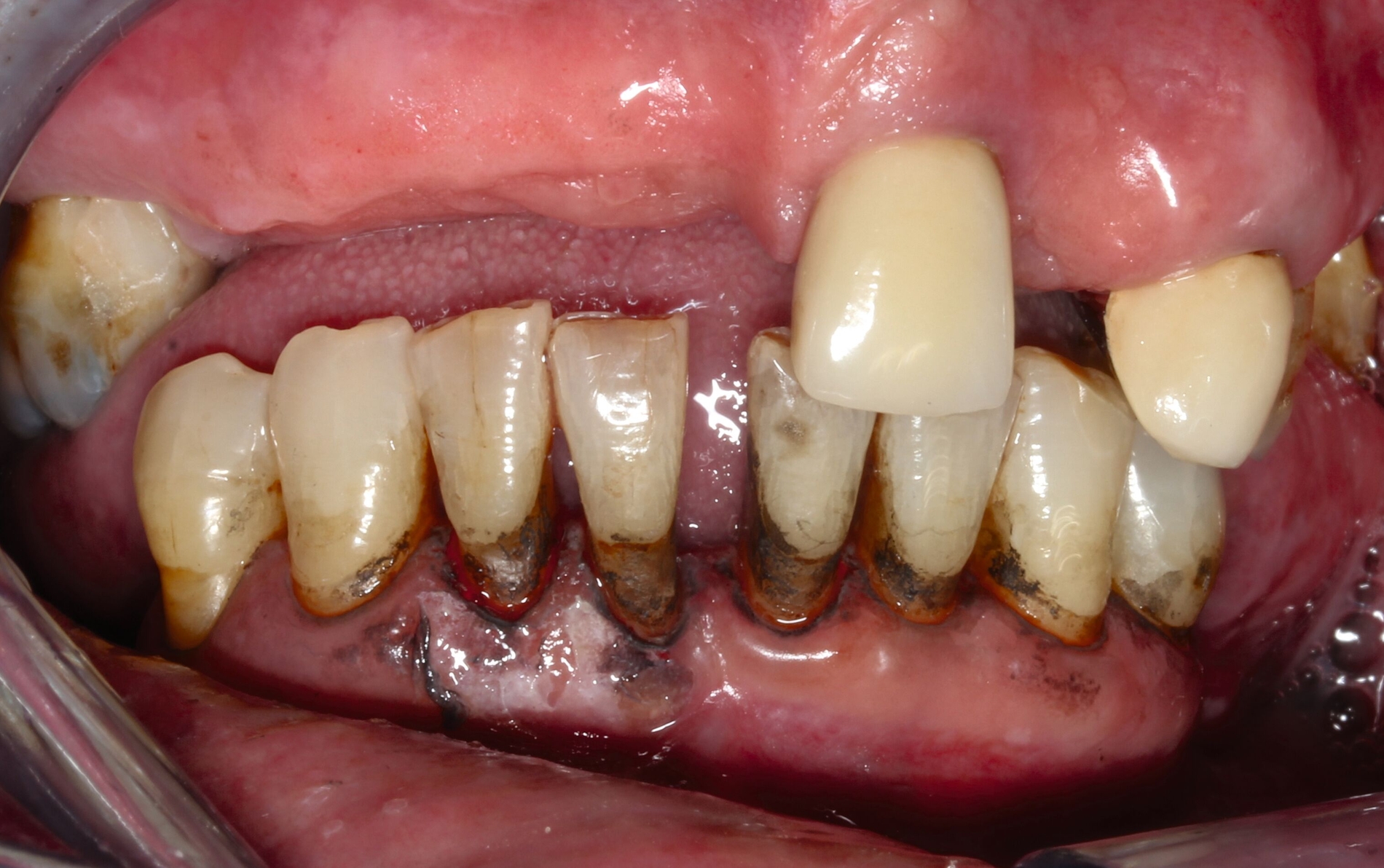 564192-flexible-1900.jpg 564192-flexible-1900.jpg