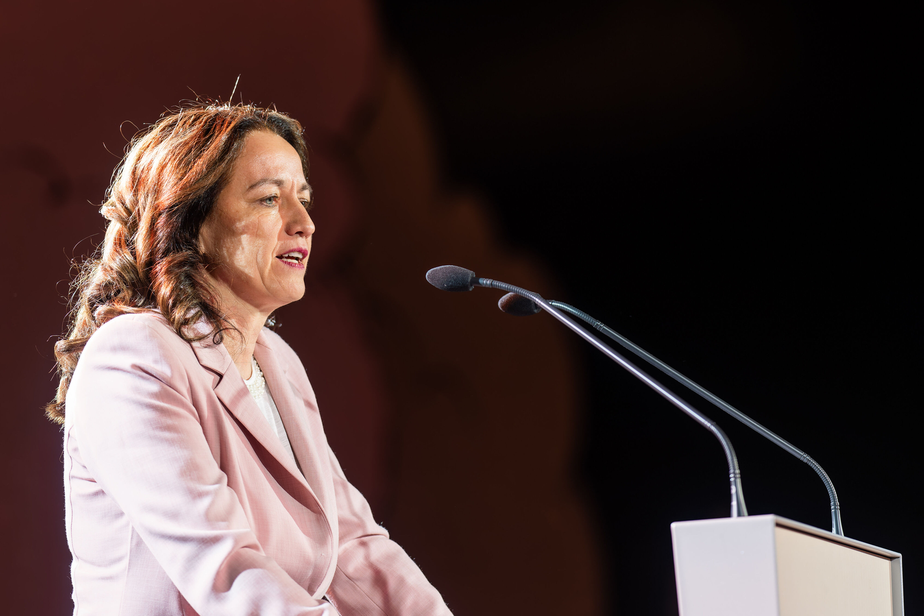 BZÄK-Präsidentin Dr. Romy Ermler beim Neujahrsempfang der BZÄK