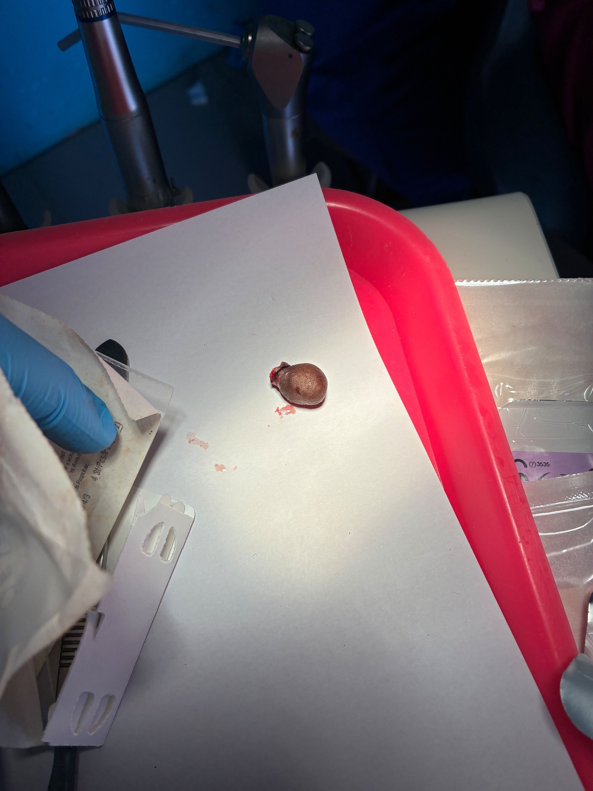 Hilfseinsatz mit DIANO e.V. in der Dominikanischen Republik