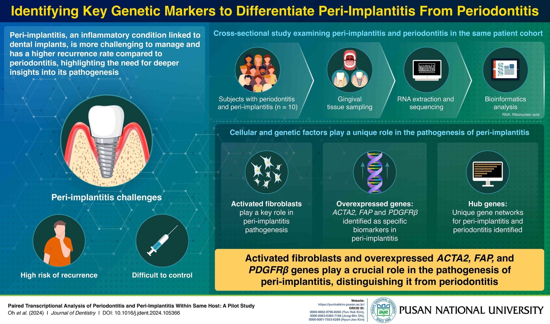 Grafik zum Unterschied zwischen Parodontitis und Periimplantitis
