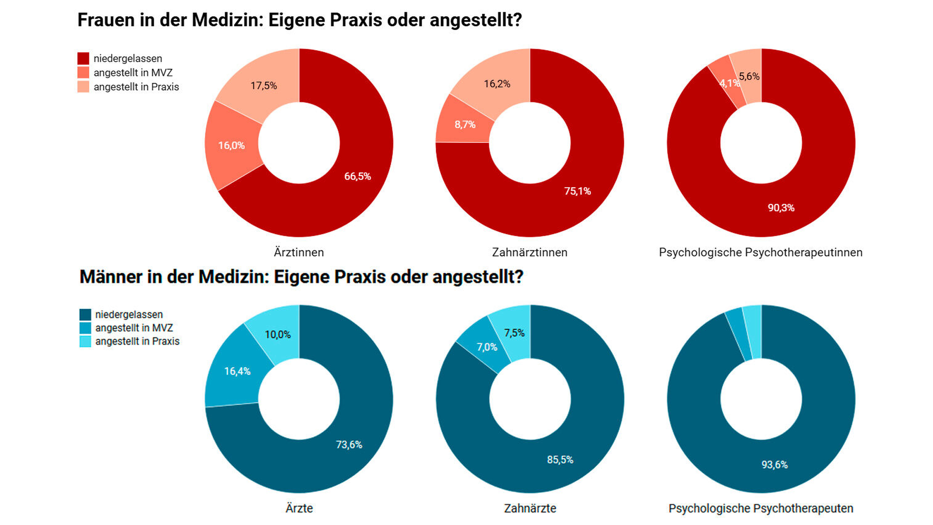 Grafik der Stiftung Gesundheit zur Beschäftigungsform im Jahr 2024