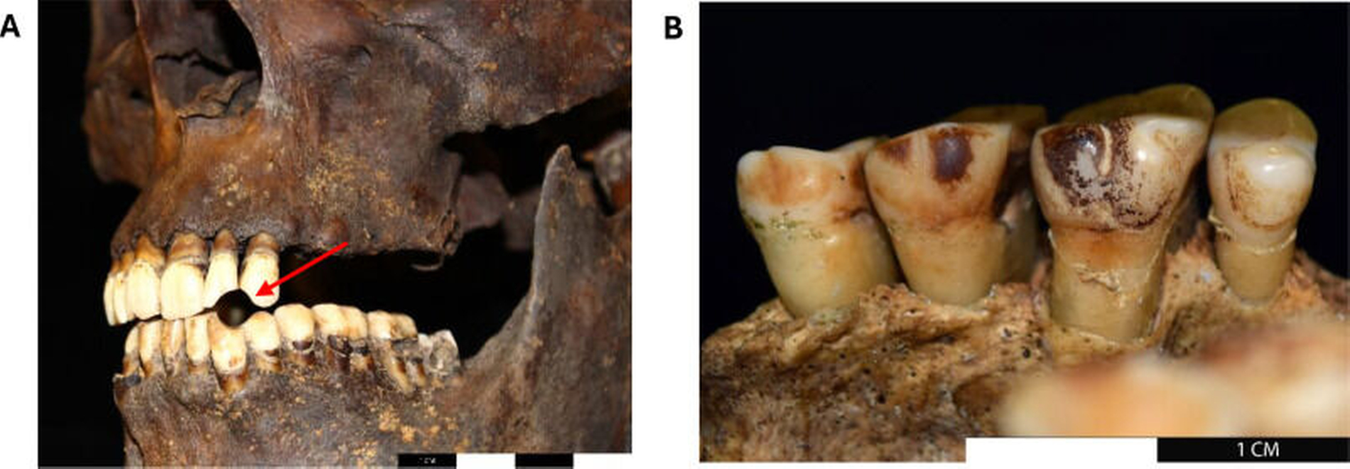 Archäologische Beweise für Tabakkonsum