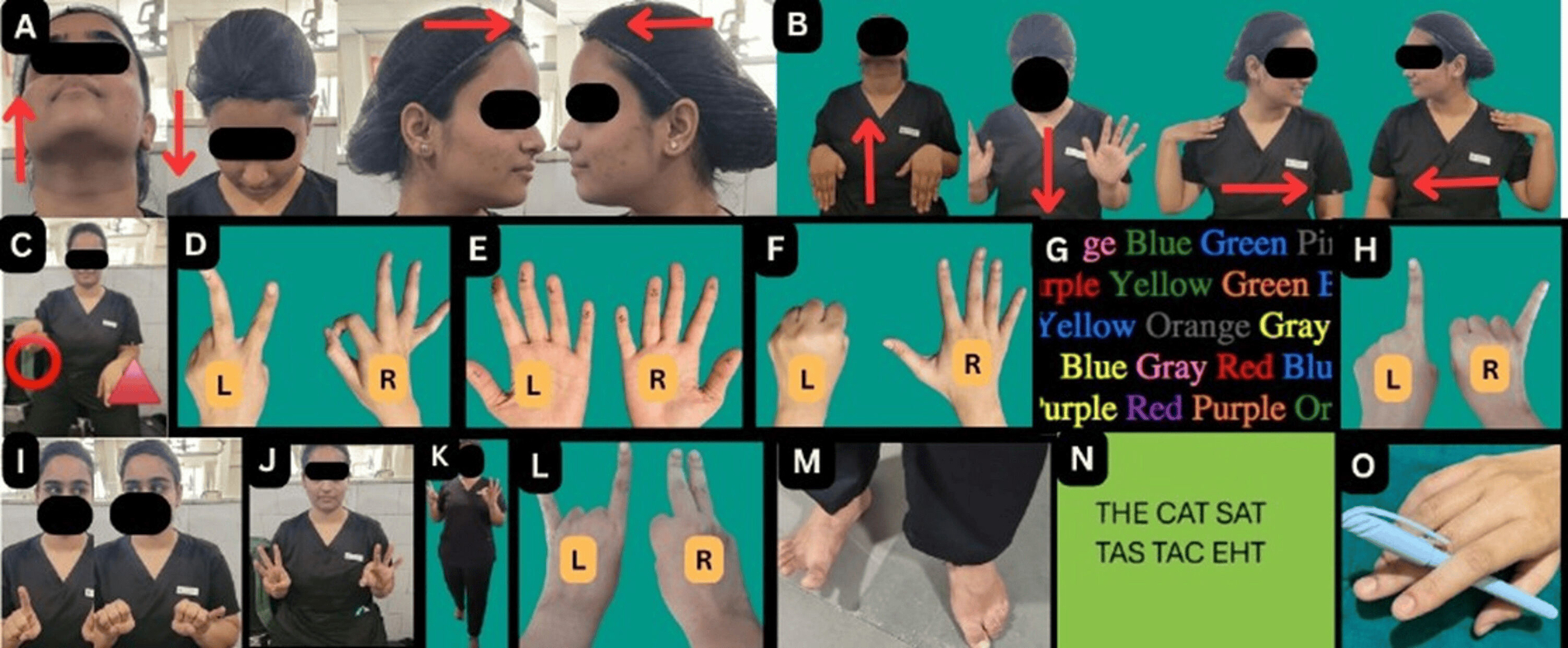 578551-flexible-1900.jpg Neurosculpting