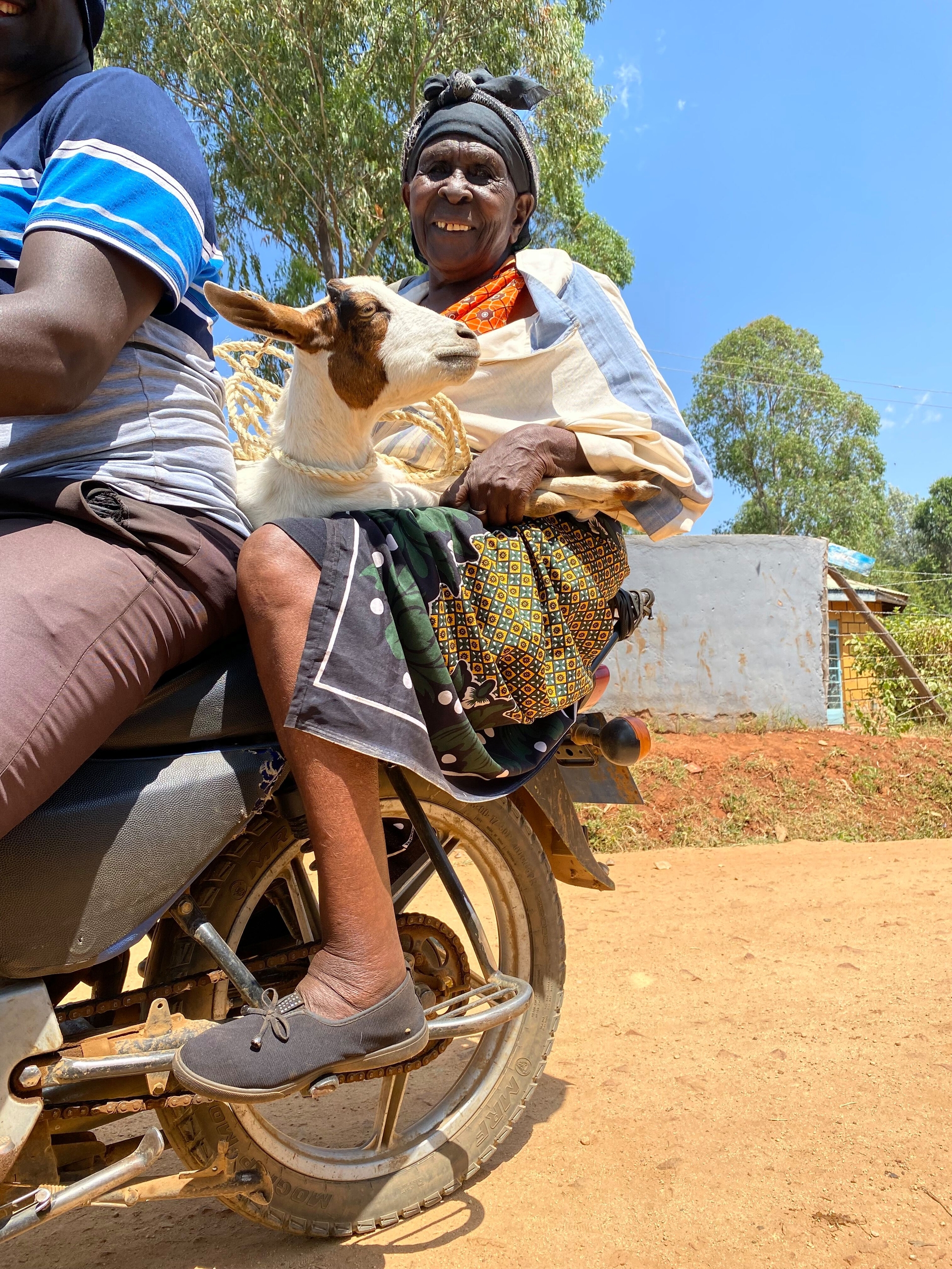 Weihnachtstombola der Dentists for Africa 2025