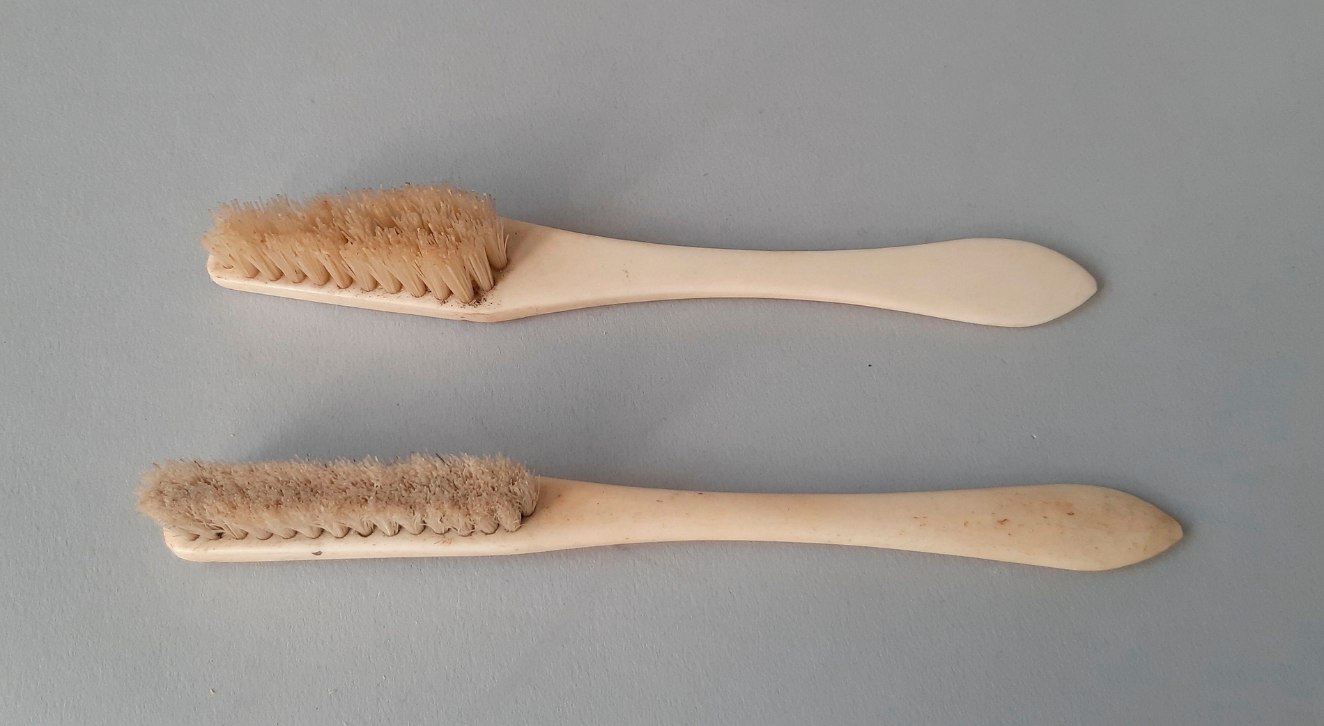 Unter anderem diese zwei königlichen Zahnbürsten taten damals ihren Dienst.