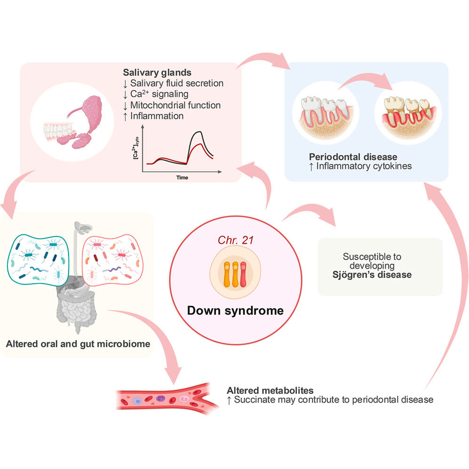 Graphical abstract